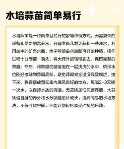 水管怎么种植蒜苗 水管怎么种植蒜苗