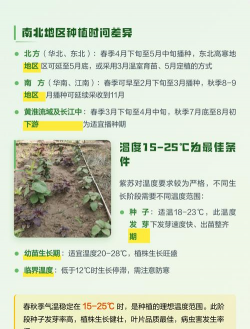 紫苏什么时候种植最合适 紫苏什么时候种植最合适