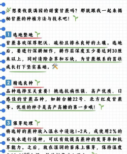 甘庶什么时候可以种 甘庶什么时候可以种