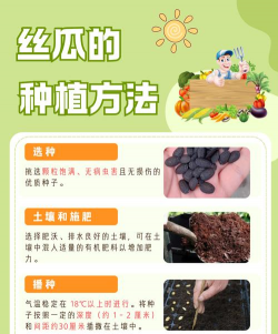 絲瓜怎么种植 絲瓜怎么种植