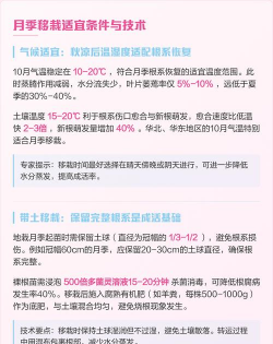 月季什么时间移栽容易活 月季什么时间移栽容易活