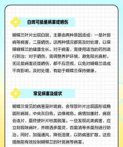 兰花叶子为什么会变白 兰花叶子为什么会变白