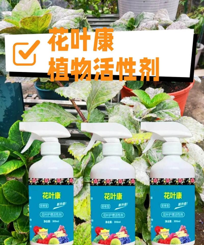 花树叶子发黄喷洒什么药 花树叶子发黄喷洒什么药
