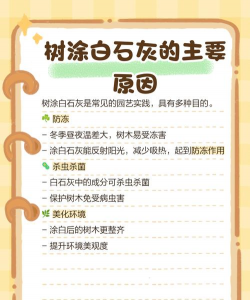 冬天为什么树干要刷白灰 冬天为什么树干要刷白灰