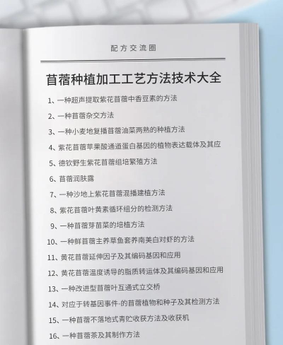 苜蓿应该怎么种植 苜蓿应该怎么种植