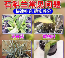 不开花植物用什么肥料好 不开花植物用什么肥料好