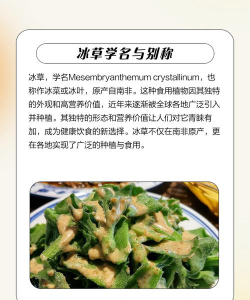 冰草 怎么种植 冰草 怎么种植