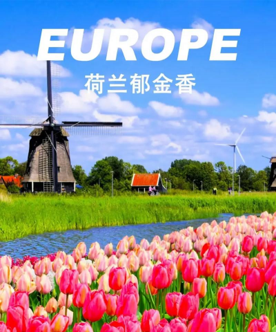 荷兰美花奇花有哪些品种 荷兰美花奇花有哪些品种