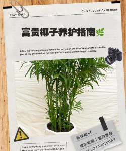 椰子怎么种植盆栽 椰子怎么种植盆栽