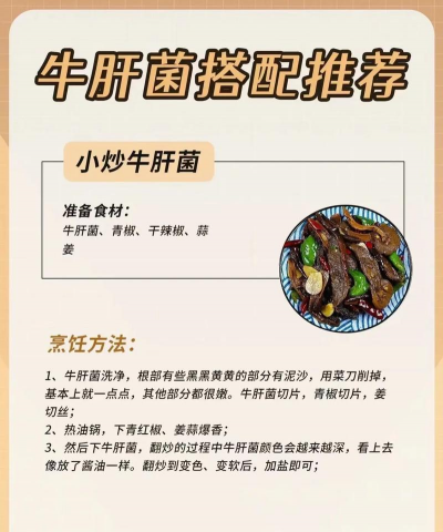 怎么有效种植牛肝菌 怎么有效种植牛肝菌