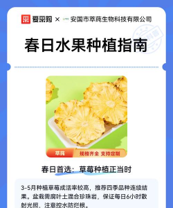 水果怎么种植的 水果怎么种植的