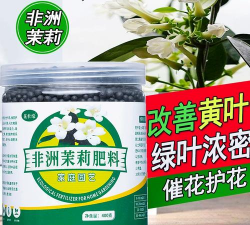 非洲茉莉用什么肥能开花 非洲茉莉用什么肥能开花