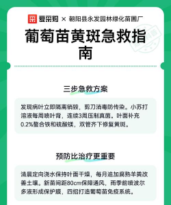 葡萄树叶黄斑什么原因 葡萄树叶黄斑什么原因