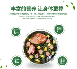 大甘蓝怎么种植 大甘蓝怎么种植