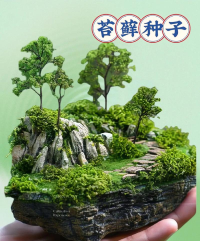 青苔怎么自己种植 青苔怎么自己种植