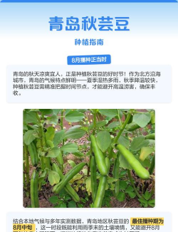 种云豆怎么种植 种云豆怎么种植