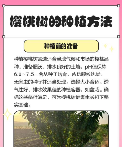 红树该怎么种植 红树该怎么种植