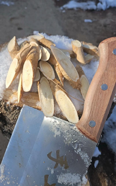 黄芪怎么种植多久 黄芪怎么种植多久