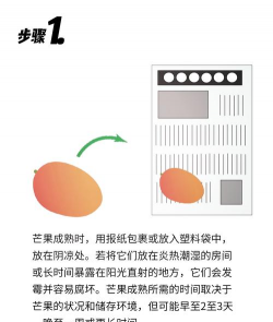 种植芒果怎么保存 种植芒果怎么保存
