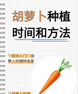 萝卜怎么快速种植 萝卜怎么快速种植