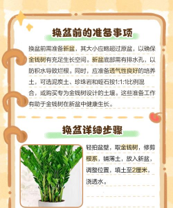植物换盆在什么季节最好 植物换盆在什么季节最好
