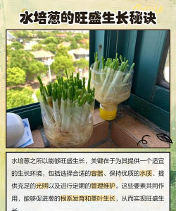 池塘水葱怎么种植 池塘水葱怎么种植