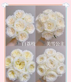 有香气的花玫瑰有哪些 有香气的花玫瑰有哪些