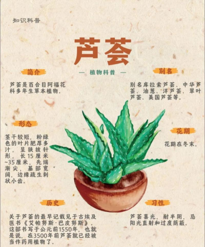 什么原因导致芦荟叶子软 什么原因导致芦荟叶子软