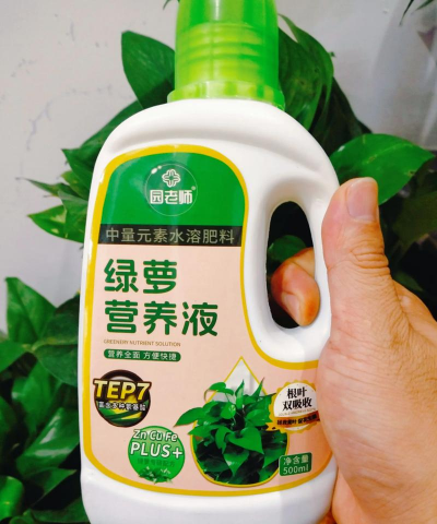 绿萝养殖需要什么土壤 绿萝养殖需要什么土壤