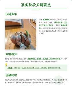 蒜怎么种植水里 蒜怎么种植水里