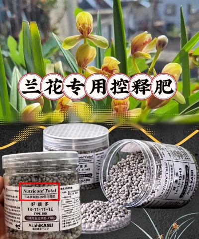 木兰花是用什么肥料 木兰花是用什么肥料