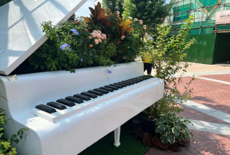 菊花开花时是什么颜色 菊花开花时是什么颜色