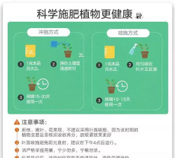 栀子花冬天用什么肥 栀子花冬天用什么肥