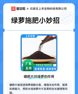 绿萝施什么肥料能长长 绿萝施什么肥料能长长