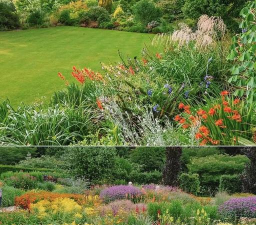 美观些的花境有哪些花 美观些的花境有哪些花