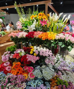 适合摆夜市的花有哪些花 适合摆夜市的花有哪些花