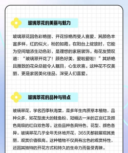 玻璃翠不开花什么原因 玻璃翠不开花什么原因