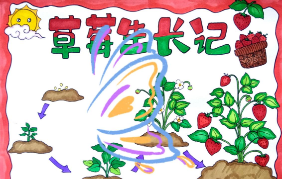 草霉什么时间种植 草霉什么时间种植