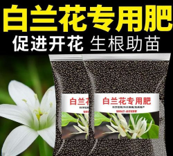 玉兰花可以施什么肥料 玉兰花可以施什么肥料