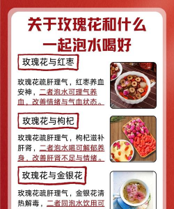 水养玫瑰水里加什么好处 水养玫瑰水里加什么好处