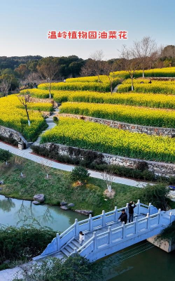温岭有哪些有花的地方 温岭有哪些有花的地方
