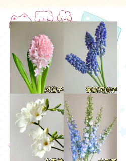 冬季的花有有哪些花名 冬季的花有有哪些花名