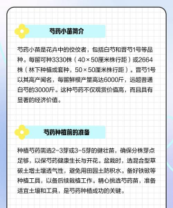 芍药怎么种植教程 芍药怎么种植教程