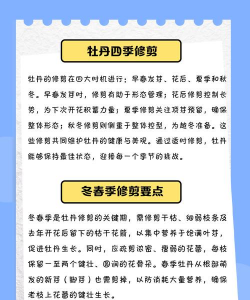 牡丹花什么季节剪枝最好 牡丹花什么季节剪枝最好