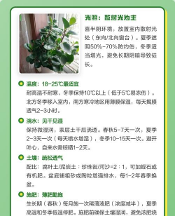 豆瓣绿什么时候浇水好 豆瓣绿什么时候浇水好