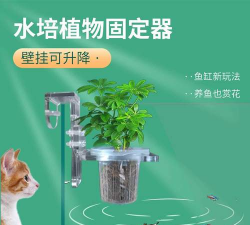 鱼缸种植怎么固定 鱼缸种植怎么固定