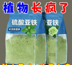 栀子花应该施什么肥料 栀子花应该施什么肥料