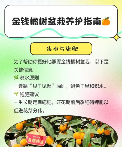 怎么种植橘子树 怎么种植橘子树