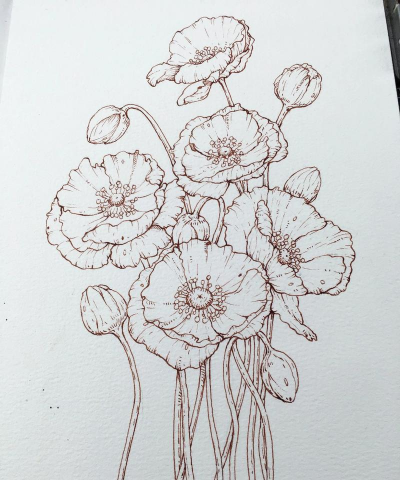 水彩花卉,轻松入门,画出清新自然感 水彩花卉,轻松入门,画出清新自然感