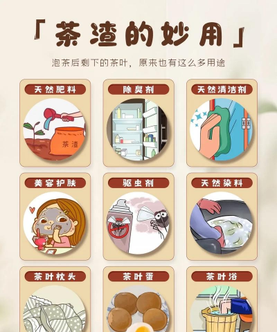 茶叶渣子能养花吗,废物利用变花肥,家庭园艺小妙招 茶叶渣子能养花吗,废物利用变花肥,家庭园艺小妙招